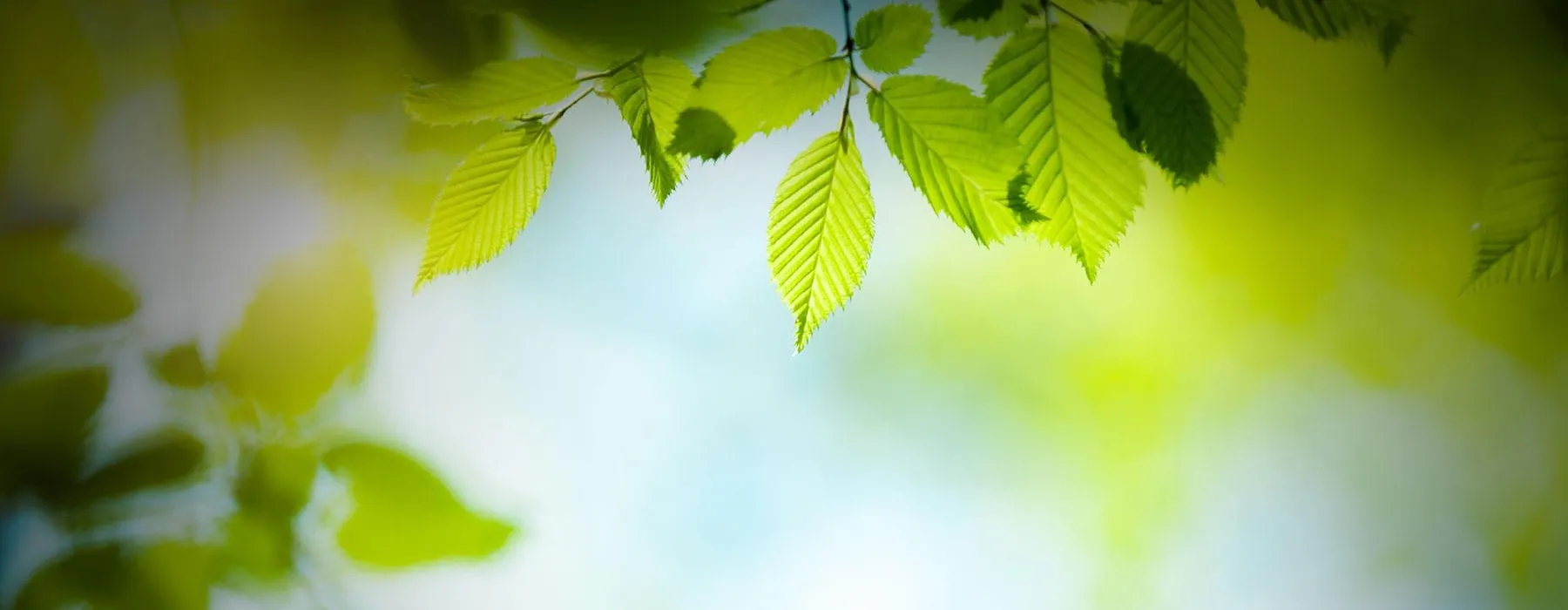 ОПЕРАЦИЯ 15 МИНУТИ