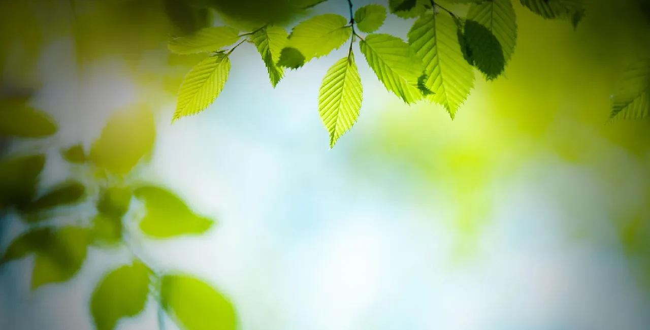 ОПЕРАЦИЯ 15 М�ИНУТИ