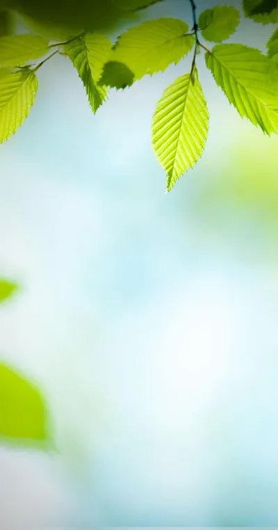 ОПЕРАЦИЯ 15 МИНУТИ