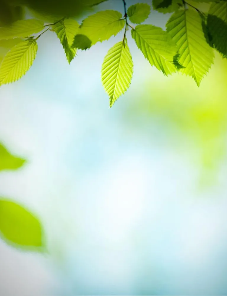 ОПЕРАЦИЯ 15 МИНУТИ